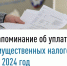 Напоминание об уплате имущественных налогов за 2024 год - Кугарчинский район