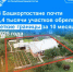 В Башкортостане почти 8,4 тысячи участков обрели четкие границы за 10 месяцев 2025 года - Кугарчинский район